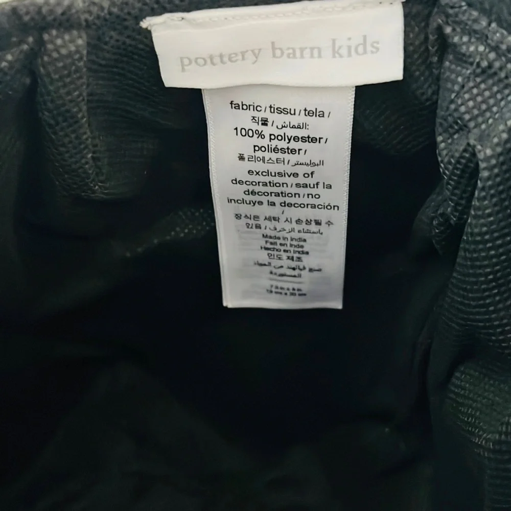 Pottery Barn Kids Spider Treat Bag